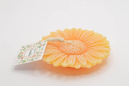 Gerbera