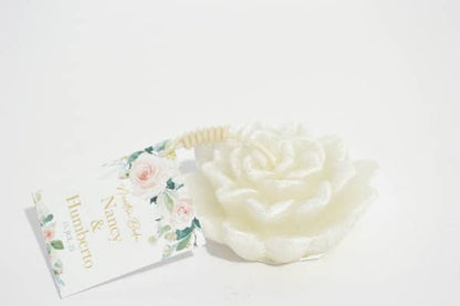 Flor de Suculenta